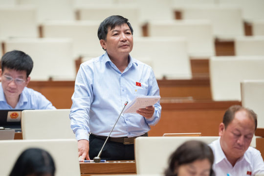 Cần bảo vệ người tiêu dùng từ sớm