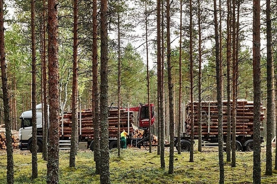 Estonia: Việc bảo vệ thiên nhiên tại các khu bảo tồn còn bất cập