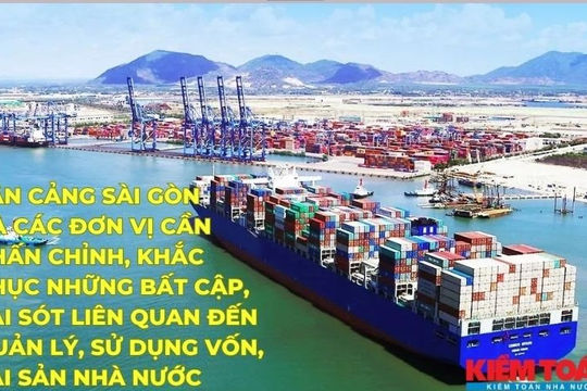 Infographic - Kết luận và kiến nghị kiểm toán Tổng công ty Tân Cảng Sài Gòn