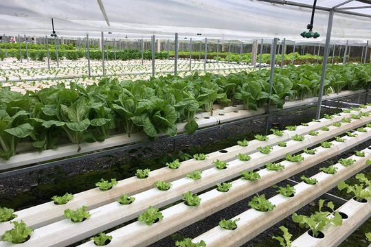 An Giang đặt mục tiêu thu hút 700 triệu USD vốn đầu tư trong năm 2023 An Giang đặt mục tiêu thu hút 700 triệu USD vốn đầu tư trong năm 2023