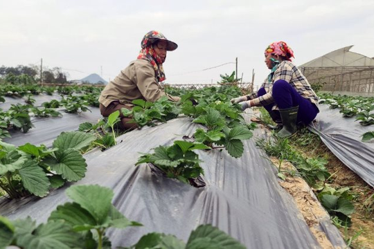 Nghệ An: Thu hút đầu tư tiếp tục là điểm sáng kinh tế Nghệ An: Thu hút đầu tư tiếp tục là điểm sáng kinh tế