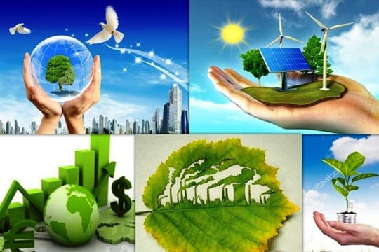Thúc đẩy tăng trưởng xanh: Chuyển tư duy kinh doanh vị lợi nhuận sang kinh doanh bền vững hơn Thúc đẩy tăng trưởng xanh: Chuyển tư duy kinh doanh vị lợi nhuận sang kinh doanh bền vững hơn