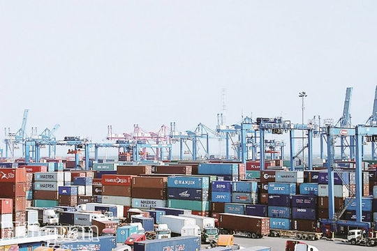 300 lô hàng vô chủ tồn đọng tại cảng Cát Lái