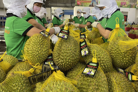 Nhiều yếu tố thuận lợi cho xuất khẩu hàng hóa sang Trung Quốc