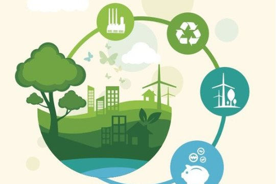 Hướng tới con đường minh bạch, bền vững hơn cho tổ chức