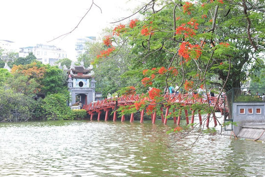 Tháng 5 - Mùa hoa phượng nở