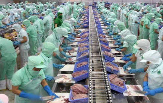 Không để doanh nghiệp lâm sản, thủy sản thiếu vốn