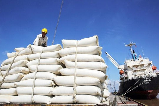 Gia tăng thị phần gạo Việt Nam tại các thị trường xuất khẩu Gia tăng thị phần gạo Việt Nam tại các thị trường xuất khẩu