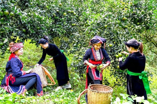 Thay đổi phương thức giúp người dân thoát nghèo bền vững Thay đổi phương thức giúp người dân thoát nghèo bền vững