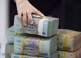 5 tháng: Ngành thuế thu ngân sách bằng 48,3% dự toán  5 tháng: Ngành thuế thu ngân sách bằng 48,3% dự toán