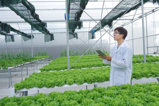Tăng khả năng tiếp cận tín dụng của hợp tác xã Tăng khả năng tiếp cận tín dụng của hợp tác xã