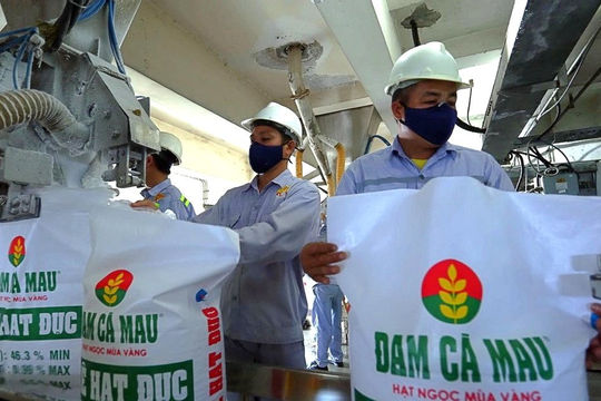 Lãnh đạo PVN: PVCFC cần tận dụng cơ hội để phát triển