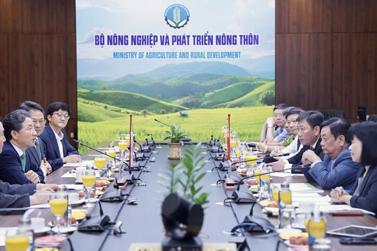 Việt Nam và Hàn Quốc tăng cường hợp tác trong lĩnh vực lâm nghiệp 