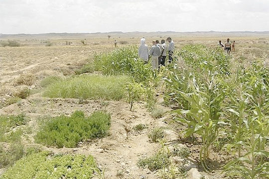 Kenya: Kêu gọi kiểm toán đất đai tại quận Lamu