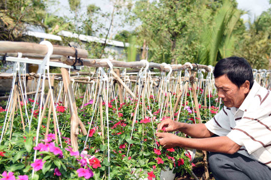 Để người dân thấy được lợi ích thiết thực của nông thôn mới