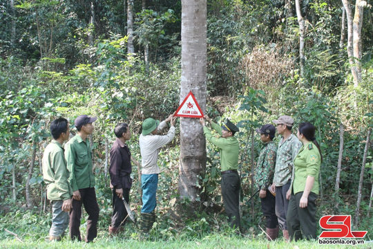 Kiểm toán việc quản lý, sử dụng Quỹ Bảo vệ và phát triển rừng tại tỉnh Sơn La Kiểm toán việc quản lý, sử dụng Quỹ Bảo vệ và phát triển rừng tại tỉnh Sơn La
