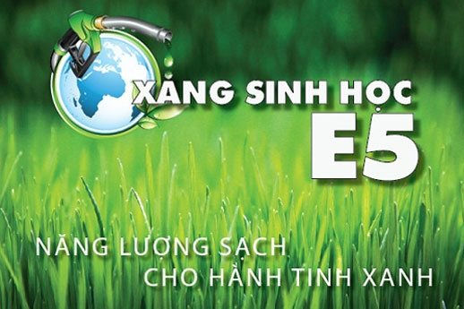 BSR nỗ lực đóng góp vào sự phát triển nhiên liệu sinh học ở Việt Nam
