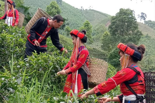 Đẩy nhanh giải ngân vốn Chương trình mục tiêu quốc gia tại Tuyên Quang