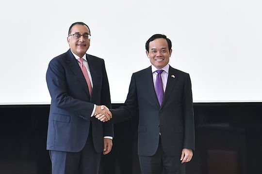 Nghiên cứu khả năng đàm phán Hiệp định Thương mại tự do Việt Nam - Ai Cập