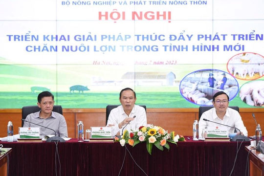 Thúc đẩy xuất khẩu sản phẩm từ thịt lợn Thúc đẩy xuất khẩu sản phẩm từ thịt lợn
