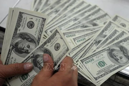 Đầu tư của Việt Nam ra nước ngoài giảm 52,5% Đầu tư của Việt Nam ra nước ngoài giảm 52,5%