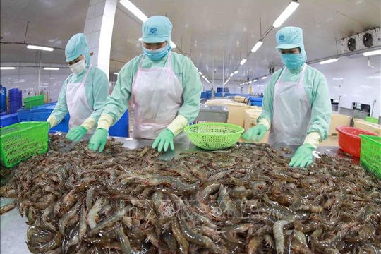 7 tháng, tổng kim ngạch xuất, nhập khẩu hàng hóa đạt 374,23 tỷ USD, giảm 13,9% 7 tháng, tổng kim ngạch xuất, nhập khẩu hàng hóa đạt 374,23 tỷ USD, giảm 13,9%