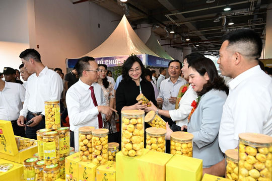 Thúc đẩy công nghiệp, thương mại khu vực phía Bắc bứt phá Thúc đẩy công nghiệp, thương mại khu vực phía Bắc bứt phá