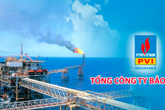 Bảo hiểm PVI đạt doanh thu 7.252 tỷ đồng