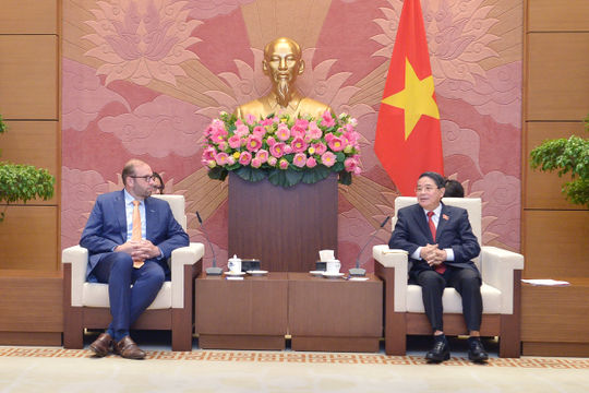Đề nghị Hoa Kỳ hỗ trợ Việt Nam xây dựng và hoàn thiện chính sách thuế tối thiểu toàn cầu Đề nghị Hoa Kỳ hỗ trợ Việt Nam xây dựng và hoàn thiện chính sách thuế tối thiểu toàn cầu