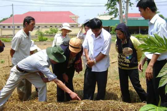 Phát triển kinh tế nông nghiệp: Rào cản từ nguồn nhân lực