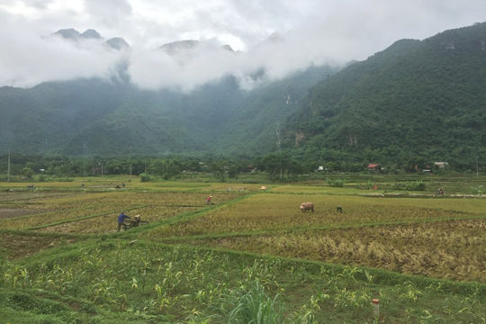 Hòa Bình: Chương trình mục tiêu Quốc gia giảm nghèo bền vững triển khai hiệu quả