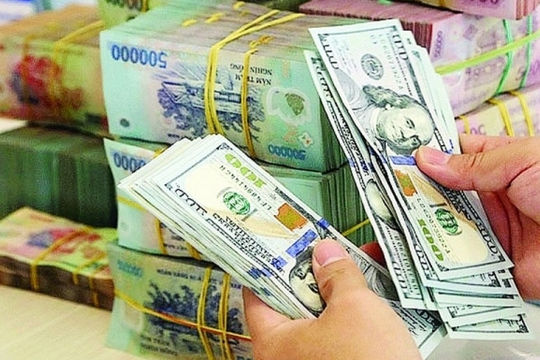 Nguồn cung ngoại tệ tích cực kỳ vọng sẽ giúp tỷ giá VND/USD ổn định về cuối năm