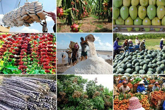 Tận dụng cơ hội thị trường để thúc đẩy xuất khẩu nông sản