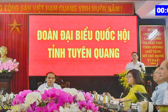 Đấu giá trực tuyến để ngăn chặn thông đồng, dìm giá Đấu giá trực tuyến để ngăn chặn thông đồng, dìm giá