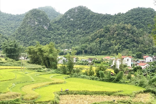 Cao Bằng: Tập trung các giải pháp đột phá để giảm nghèo