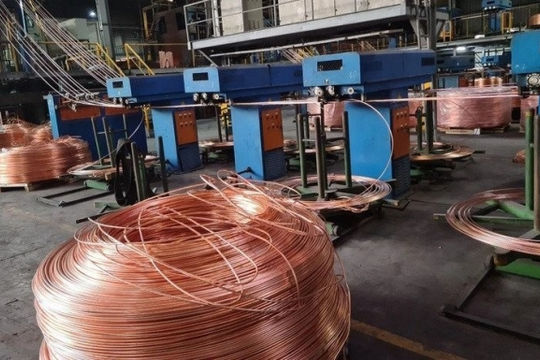 Vì sao cơ quan thuế chuyển hồ sơ Công ty Lioa Đồng Nai sang công an?