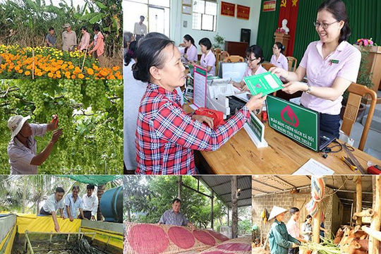  Phát huy vai trò của Mặt trận Tổ quốc trong tuyên truyền tín dụng chính sách xã hội