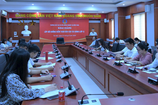  Bồi dưỡng kỹ năng kiểm toán báo cáo tài chính doanh nghiệp và đất đai