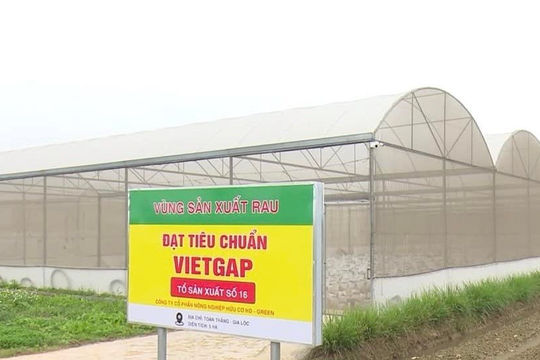 Hải Dương xây dựng nền nông nghiệp xanh an toàn, bền vững