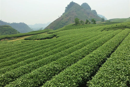 Tăng cường kiểm tra, giám sát các Chương trình mục tiêu quốc gia tại Thái Nguyên Tăng cường kiểm tra, giám sát các Chương trình mục tiêu quốc gia tại Thái Nguyên