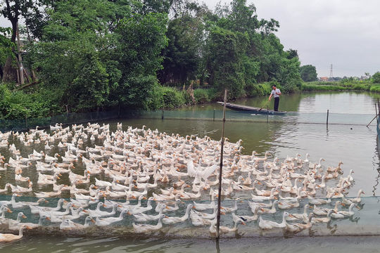 Chú trọng vai trò của người dân tham gia xây dựng nông thôn mới 
