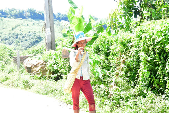 Chú trọng thực hiện tốt chương trình phát triển kinh tế vùng dân tộc, miền núi Chú trọng thực hiện tốt chương trình phát triển kinh tế vùng dân tộc, miền núi