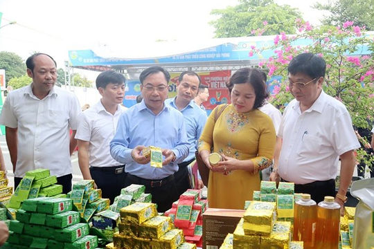 Tận dụng tiềm năng, chủ động tìm kiếm cơ hội phát triển sản phẩm OCOP Tận dụng tiềm năng, chủ động tìm kiếm cơ hội phát triển sản phẩm OCOP