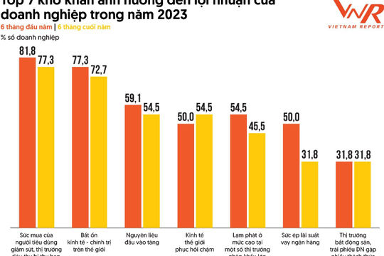 Sức mua yếu, thị trường tiêu thụ bị thu hẹp làm giảm lợi nhuận của doanh nghiệp