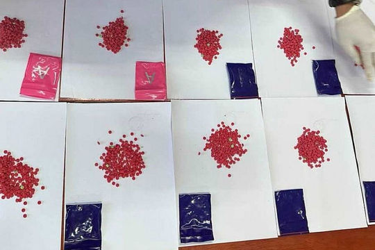 8 tháng, ngành hải quan chủ trì thu giữ trên 1,4 tấn ma túy các loại