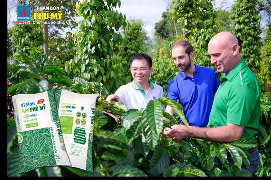 PVFCCo chú trọng nâng cao chất lượng và số lượng sản phẩm NPK Phú Mỹ PVFCCo chú trọng nâng cao chất lượng và số lượng sản phẩm NPK Phú Mỹ