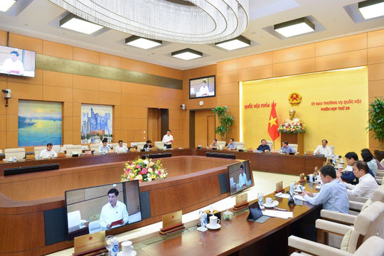 Đề nghị Quốc hội xem xét vấn đề thuế toàn cầu tại Kỳ họp thứ 6