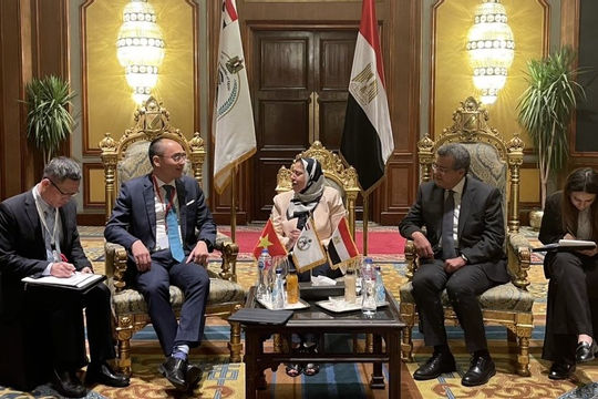 KTNN Việt Nam làm việc với KTNN Ai cập và KTNN Trung Quốc