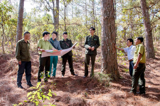 Lâm Đồng: Giao khoán bảo vệ rừng góp phần tăng thu nhập cho người dân Lâm Đồng: Giao khoán bảo vệ rừng góp phần tăng thu nhập cho người dân
