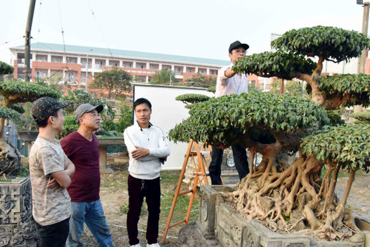 Tăng cường mở rộng, gắn với liên kết hợp tác xã theo chuỗi giá trị